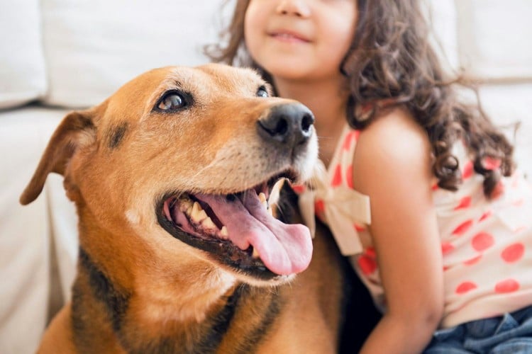 Can Dogs Have Asthma? How To Treat Your Pup's Breathing Problems